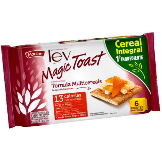 TORRADA MULTICEREAIS MAGIC TOAST 24X110 GR