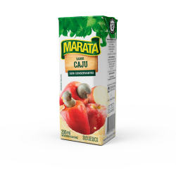 MARATA NECTAR CAJU 27X200 ML