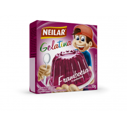 NEILAR GELATINA FRAMBOESA 48X20 GR