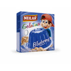 NEILAR GELATINA BLUEBERRY 48X20 GR